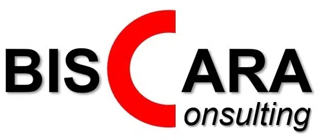 LOGO_ BISCARA_CONSULTING